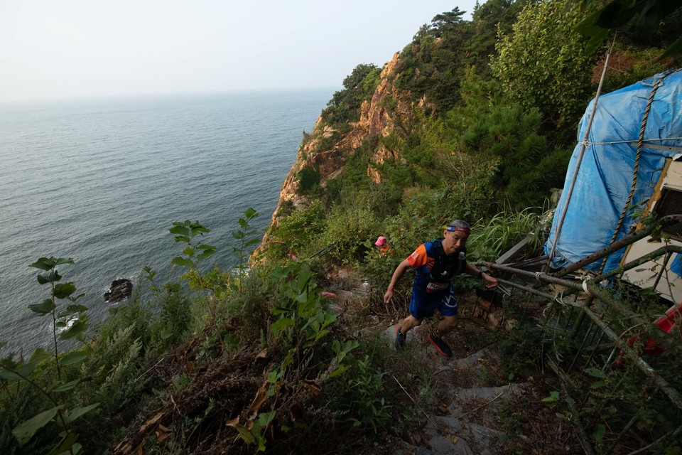 21大连海滨风光健康跑-大海鲨-81