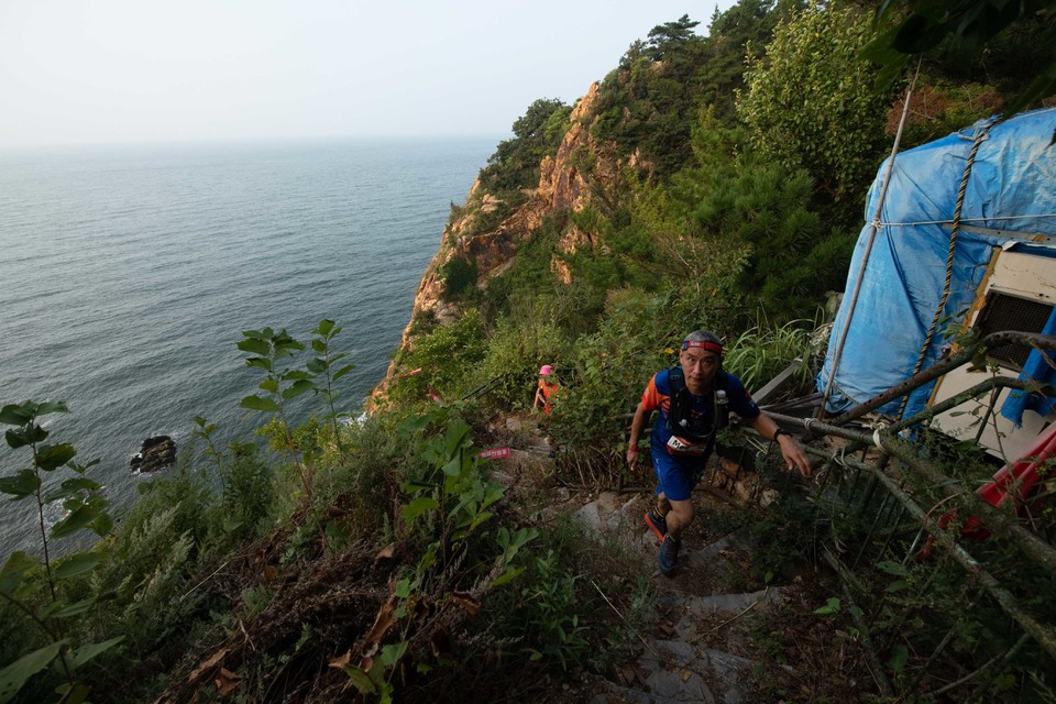21大连海滨风光健康跑-大海鲨-82