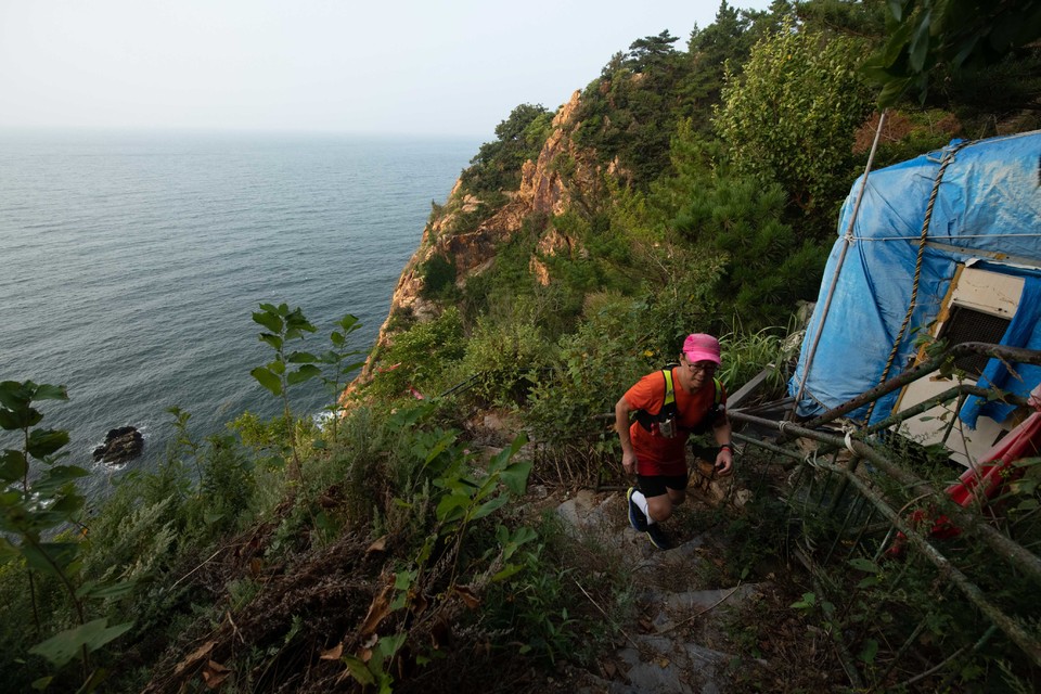 21大连海滨风光健康跑-大海鲨-83