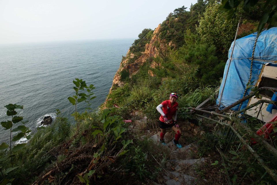 21大连海滨风光健康跑-大海鲨-84