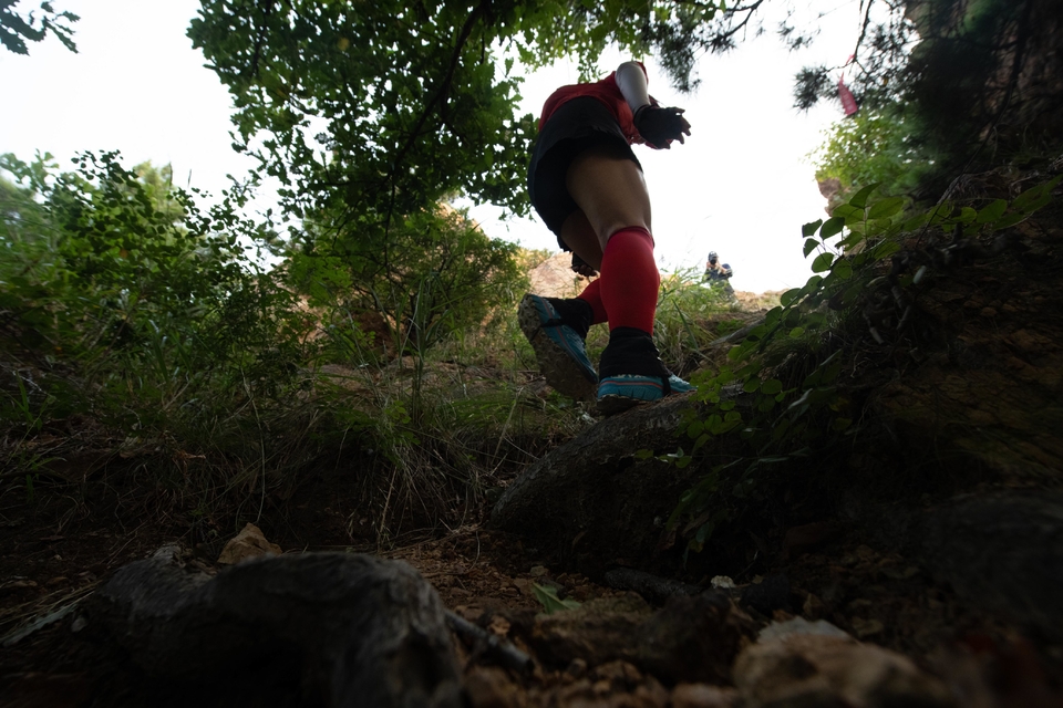 21大连海滨风光健康跑-大海鲨-87