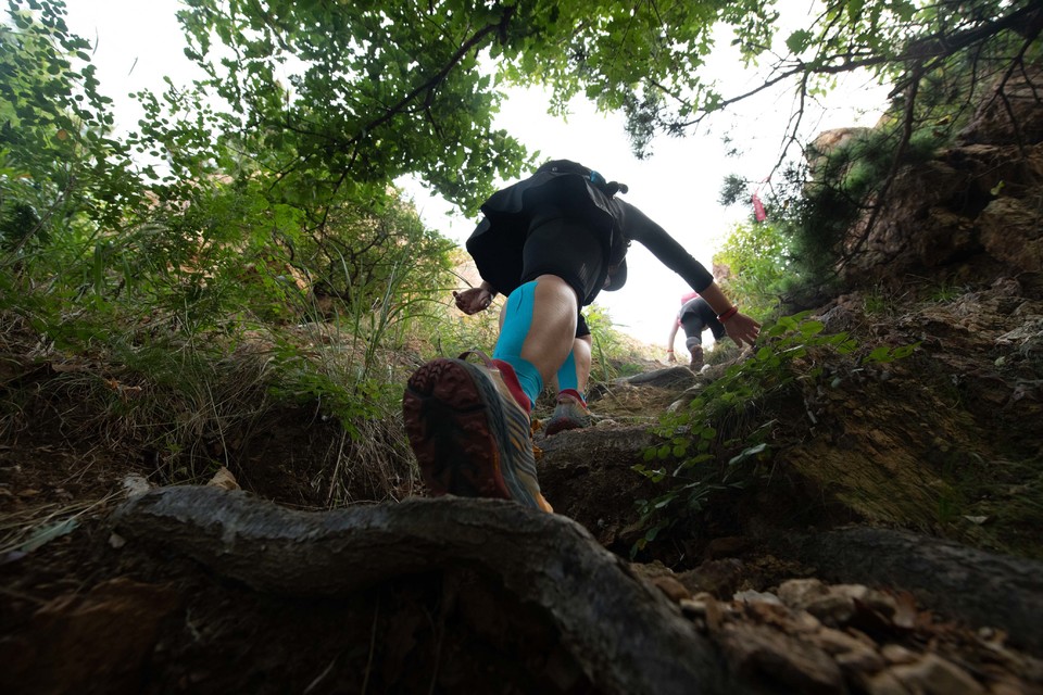 21大连海滨风光健康跑-大海鲨-90