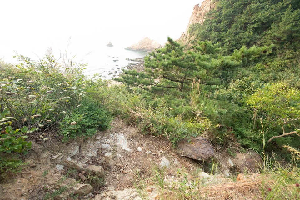 21大连海滨风光健康跑-大海鲨-93