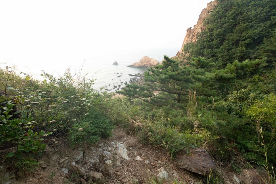 21大连海滨风光健康跑-大海鲨-94