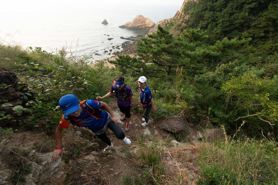 21大连海滨风光健康跑-大海鲨-111