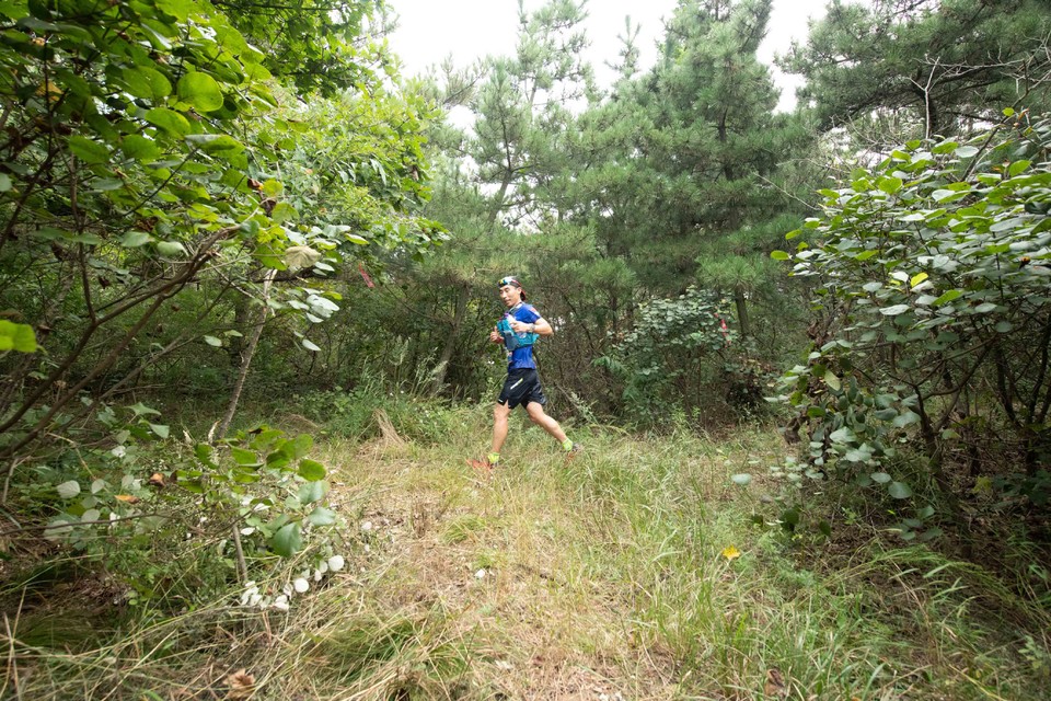 21大连海滨风光健康跑-大海鲨-114