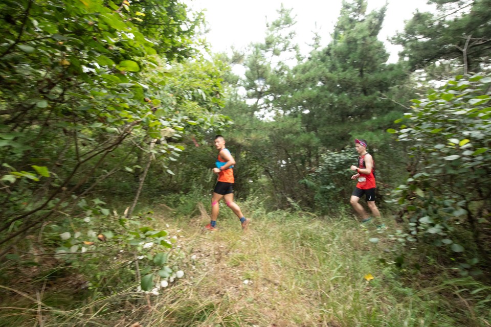 21大连海滨风光健康跑-大海鲨-119