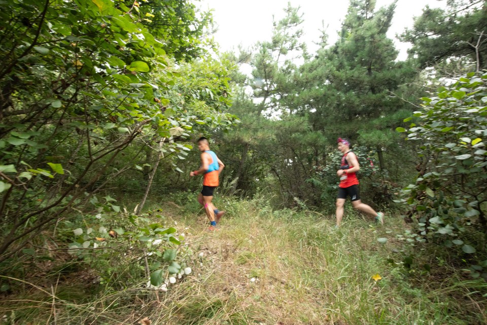 21大连海滨风光健康跑-大海鲨-120