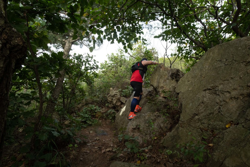 21大连海滨风光健康跑-大海鲨-123