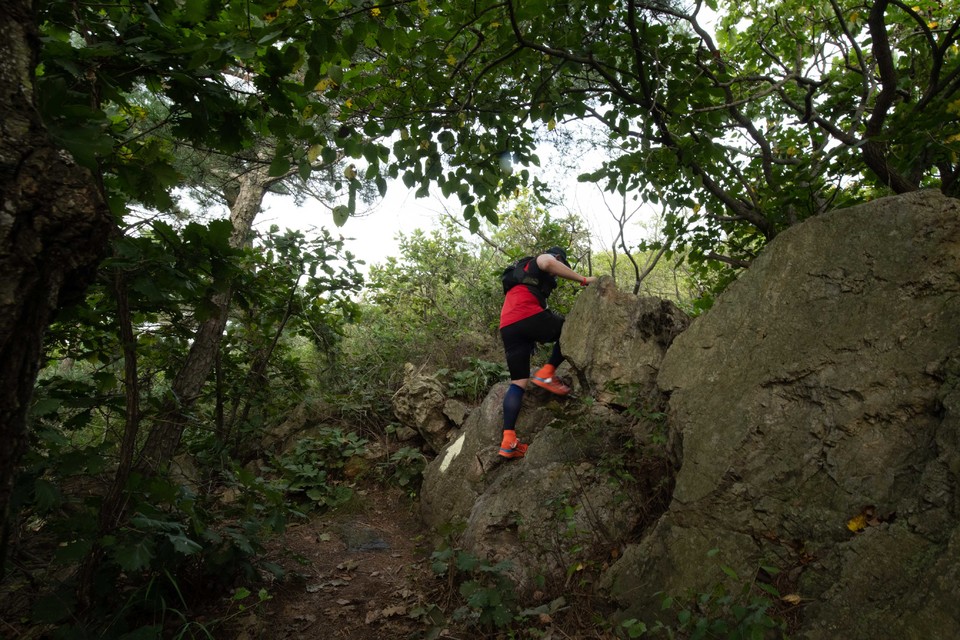 21大连海滨风光健康跑-大海鲨-124