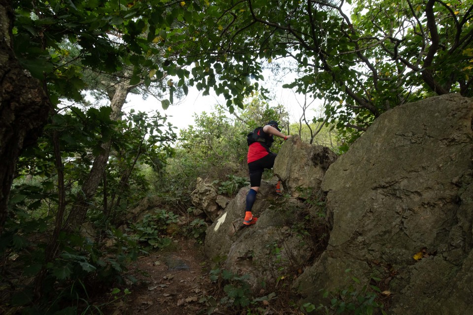 21大连海滨风光健康跑-大海鲨-125