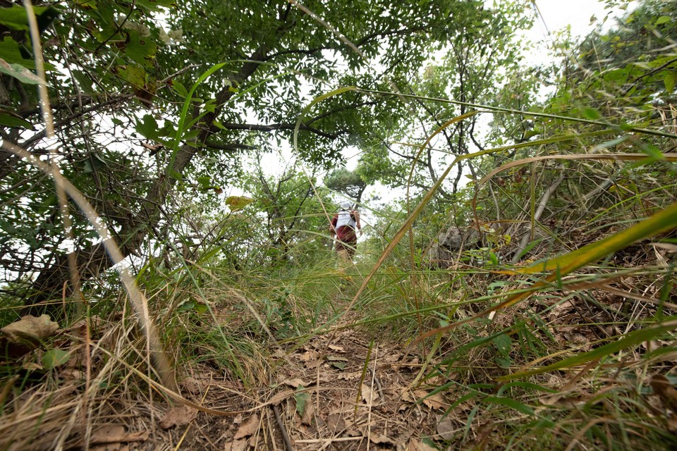 21大连海滨风光健康跑-大海鲨-147