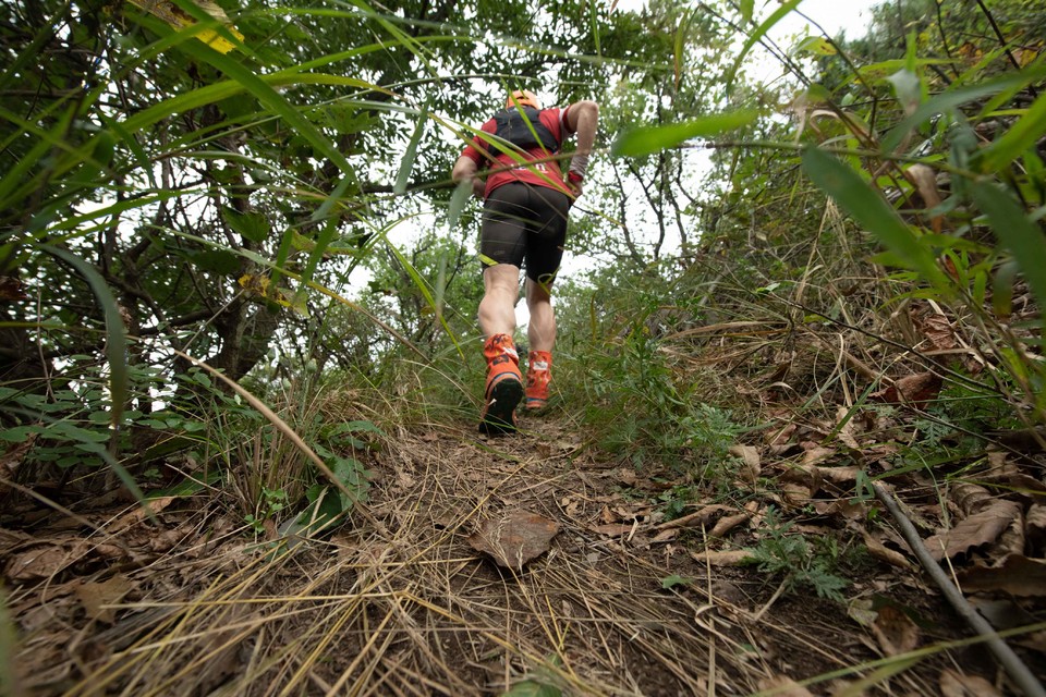 21大连海滨风光健康跑-大海鲨-150