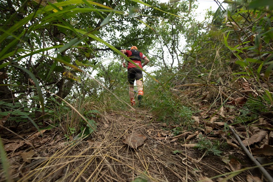 21大连海滨风光健康跑-大海鲨-153
