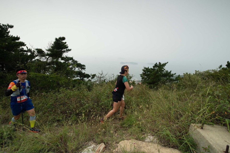 21大连海滨风光健康跑-大海鲨-171