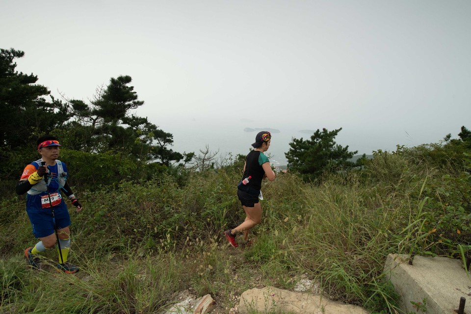 21大连海滨风光健康跑-大海鲨-172