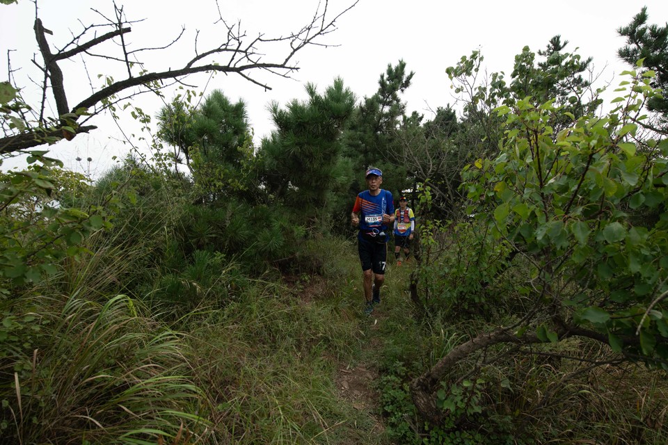 21大连海滨风光健康跑-大海鲨-184