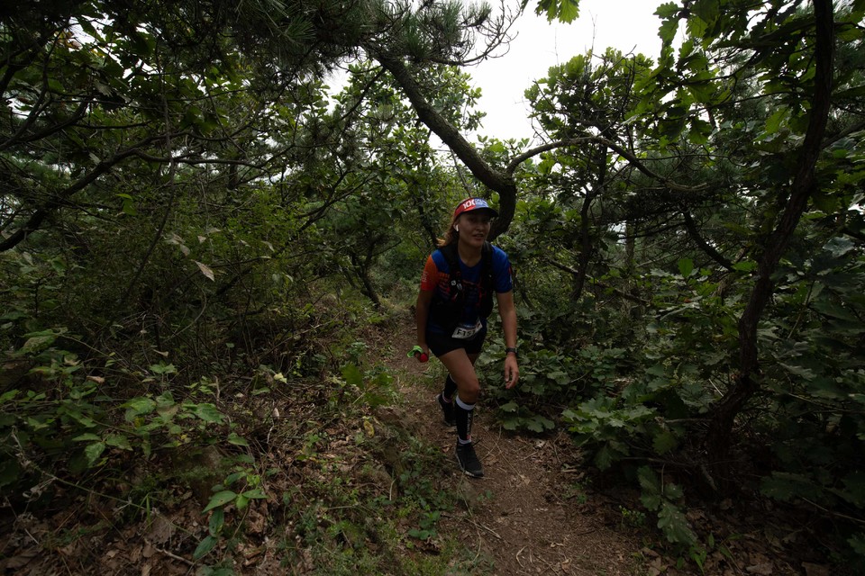 21大连海滨风光健康跑-大海鲨-195