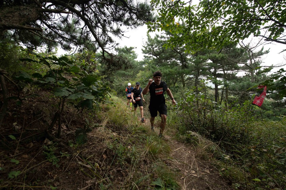 21大连海滨风光健康跑-大海鲨-199