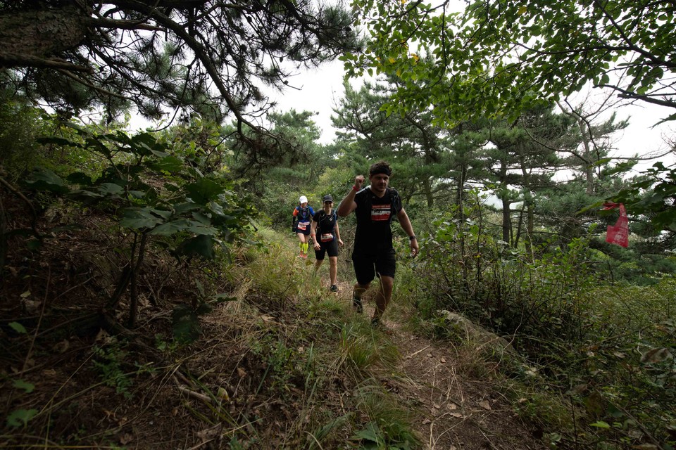 21大连海滨风光健康跑-大海鲨-200