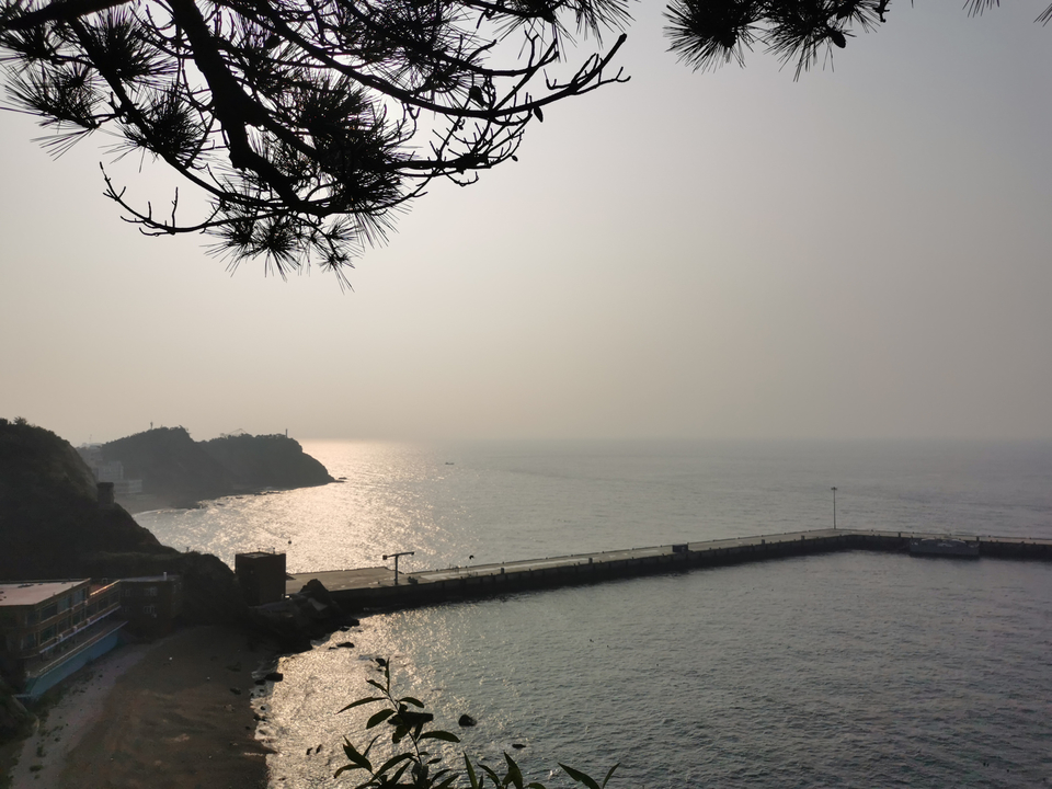 IMG_20210911_072248_1