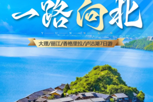 经典爆款【一路向北7日】大理双廊-洱海旅拍-喜洲-S弯骑行-沙溪-虎跳峡-白水台-普达措-松赞林寺-纳帕海-丽江-泸沽湖