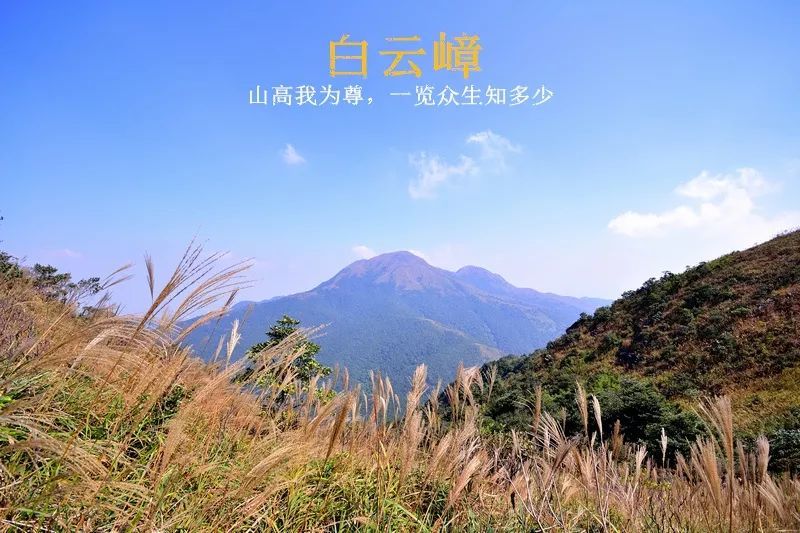 深盟户外嘉年华3月17号 登千米高峰白云嶂!特价70元/人