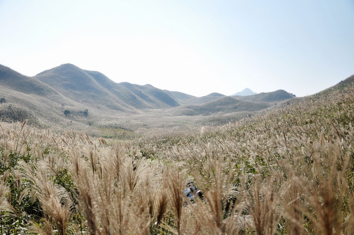 11月11,12日惠州大南山穿越黄金大草坡、满山遍野芦苇荡下摄影、漫步斧头石 一日游