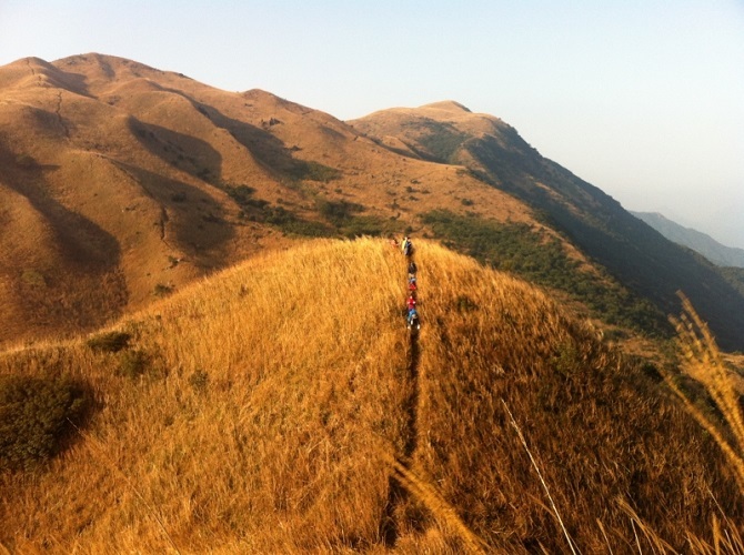 11月11,12日惠州大南山穿越黄金大草坡、满山遍野芦苇荡下摄影、漫步斧头石 一日游