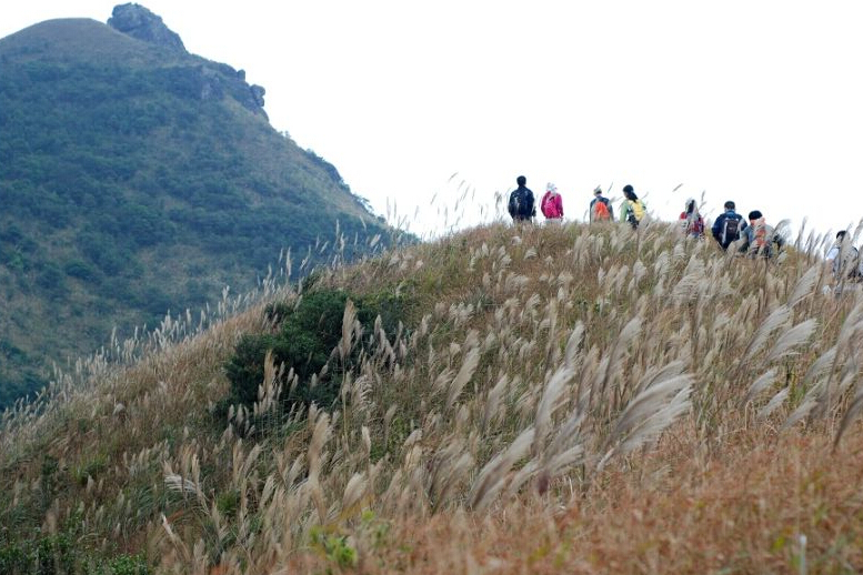 11月19日深圳大鹏半岛七娘山、大雁顶穿越、惊险刺激、感受三面环海美景 一天游