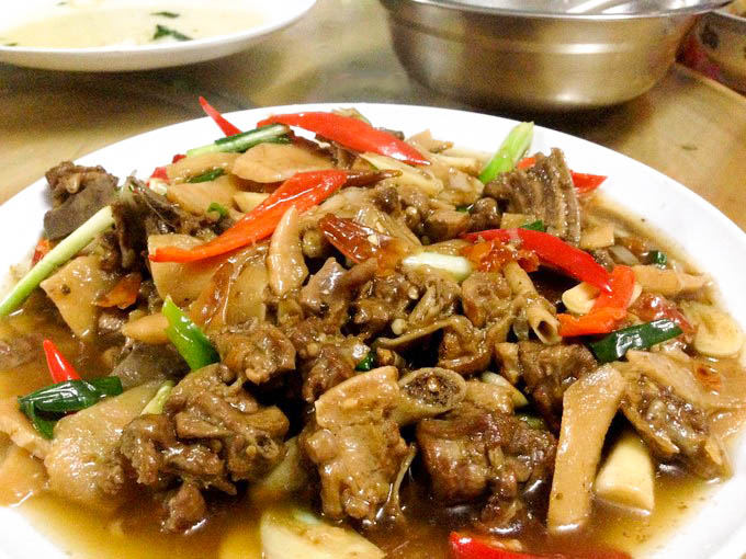 【秋天的童话】韶关南雄赏银杏,广东最美银杏