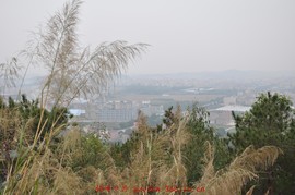 2010.01.01象山 (25)