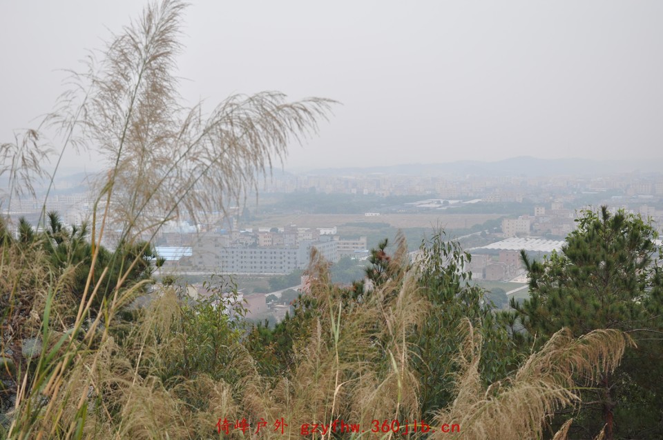 2010.01.01象山 (25)