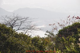 2010.01.14芙蓉峰 (8)