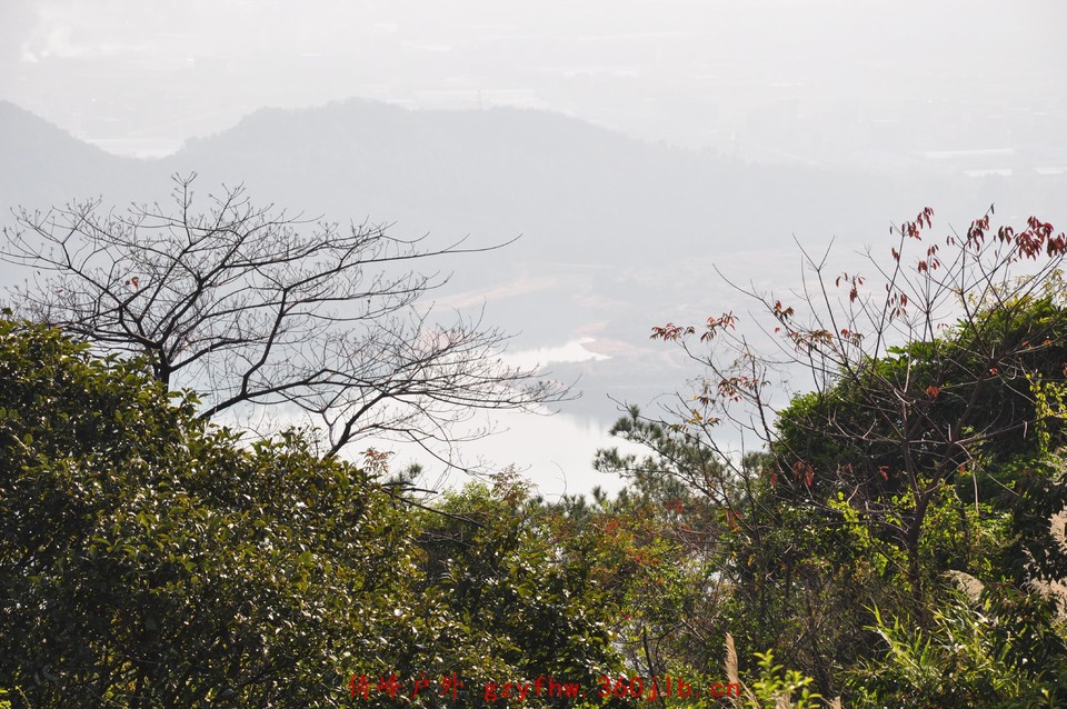 2010.01.14芙蓉峰 (8)