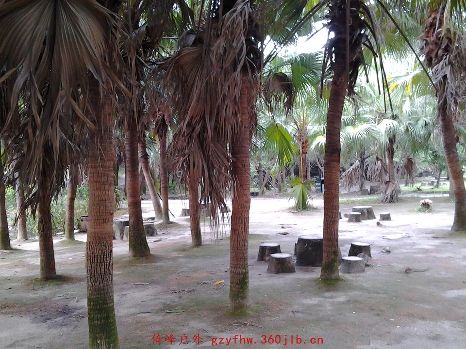 2012.12.06桃花水库 (6)