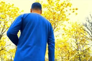 芦苞水映紫发风铃