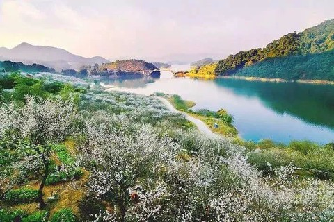 1月10日【从化“五指山” | 赏梅花 穿丛林 探幽谷 爬山顶】驴友线路、不是驴友严禁报名
