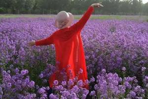 2月8日【徒步英西峰林走廊经典线路芬香百亩浪漫紫世界】