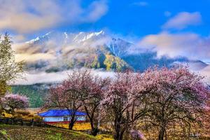 3.19首发团！【跃游中国•寻春纪11日】317桃色川藏，雪域巡藏迷，桃花醉远客