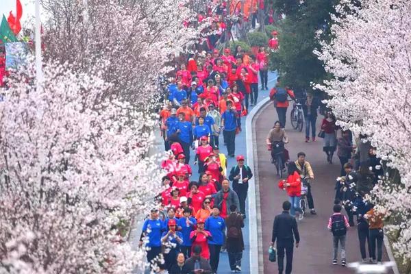 【3.31日樱花徒步】第二届杭州国际樱花徒步节，跃马户外邀你同行