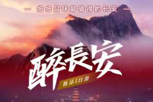 【跃游•陕西 •醉长安】兵马俑-大唐不夜城-华山-明城墙-大明宫-回民街-乾陵-袁家村5日轻奢游！