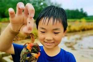 国庆！不涨价 ¥39.9【跃马宝贝•玩转新沙岛】  烧烤 露营 抓螃蟹 网红过山车 皮划艇 卡丁车 