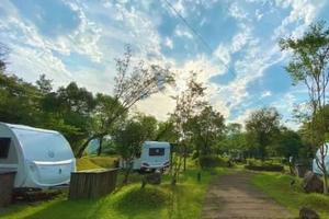 森林酒店 | ¥699 入住千岛湖原始森林酒店 泡湖景温泉 林中小火车 VR游船体验水下古城！