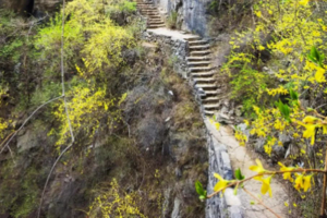 【跃游中国•秘境中原5日】老君山徒步 中岳嵩山轻徒步 龙门石窟 白马寺 风穴寺