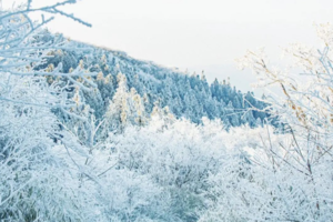 【冰雪特辑•鸬鸟山】误入冰雪世界，登顶鸬鸟山，凛冬将至，千山暮雪， 竹林飘雪,，高山冰草甸！！！