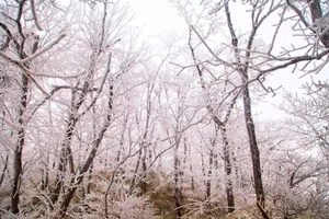 【太子尖瀑云1日】 小团活动 发团 登顶太子尖 观赏日落云海 体验浪尖上的过山车 与闲云悠居玩转花样之夏