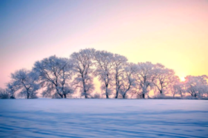 【跃游中国•东北•冰雪梦幻品质团7日A线】住进雪乡童话世界，从黑龙江到吉林狂撒欢！冬季网红打卡，2-28人品质大巴团
