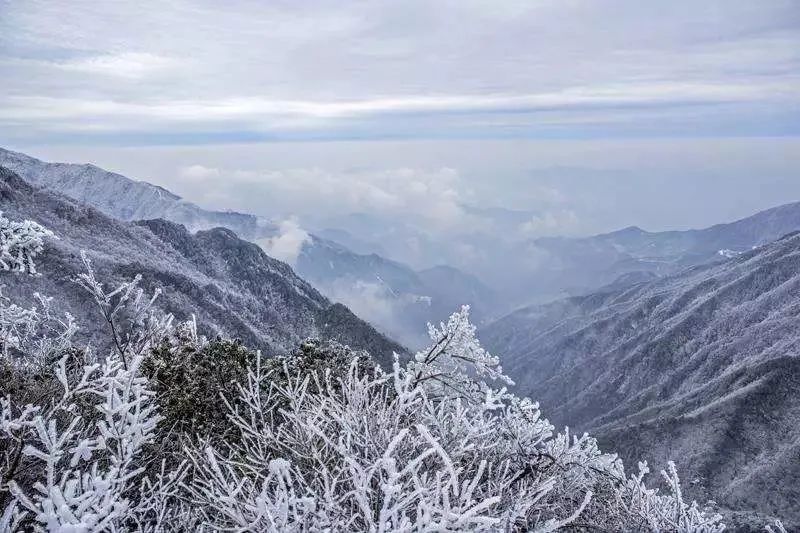 点击查看源网页