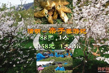 清明4月6/7日两期● <亲子春游记>88元送您去 “日本赏樱”采龙井茶、 挖春笋 ;游鲁讯故里!单日春游(特价抢位)